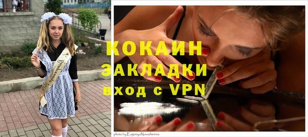 PSILOCYBIN Лихославль