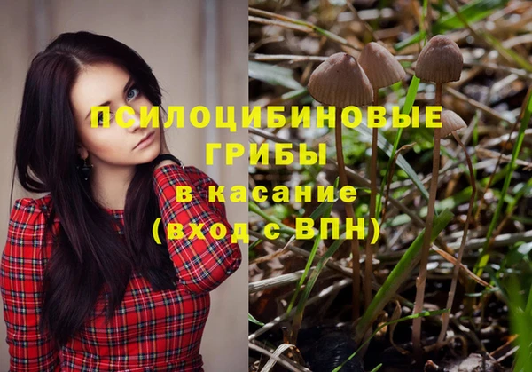 PSILOCYBIN Лихославль