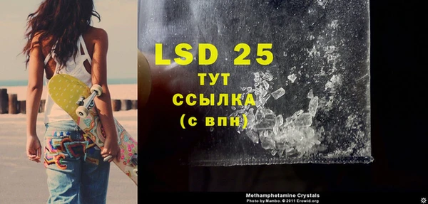 PSILOCYBIN Кирс